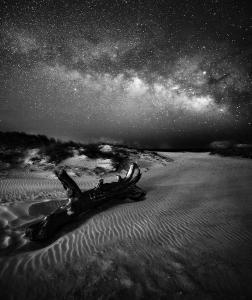 Honorable Mention In The 13th Annual Black And White Spider Awards Honorable Mention In The 13th Annual Black And White Spider Awards